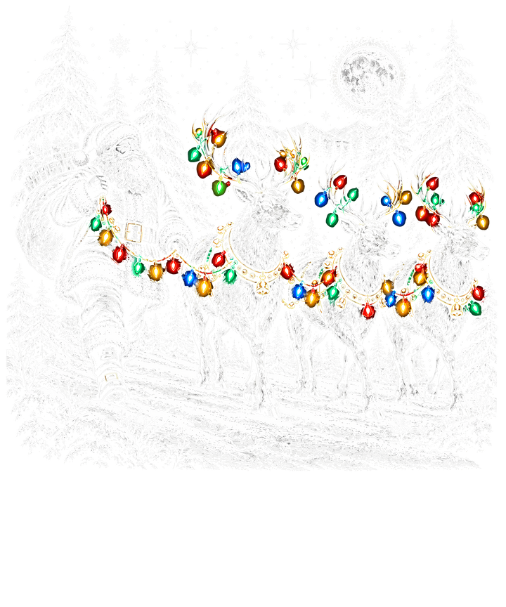 Santa and Reindeer Christmas Lights DTF print