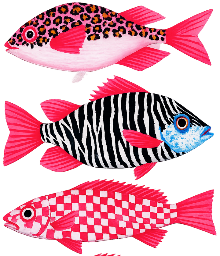 Tropical Fish Trio Color Design