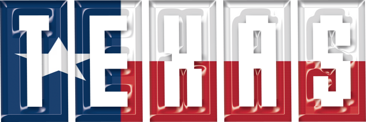 Texas Flag DTF Transfer Design